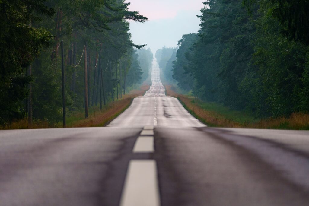 Misty asphalt rural road stretching through a forest, creating a sense of a long journey ahead.